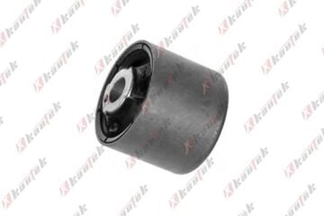 Bmw 3 Serisi E46 X3 Serisi E83 Kasa Arka Diferansiyel Takozu 33176751808